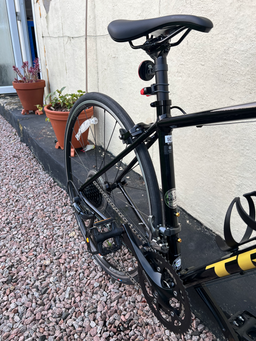 Trek Domane AL 2 2023