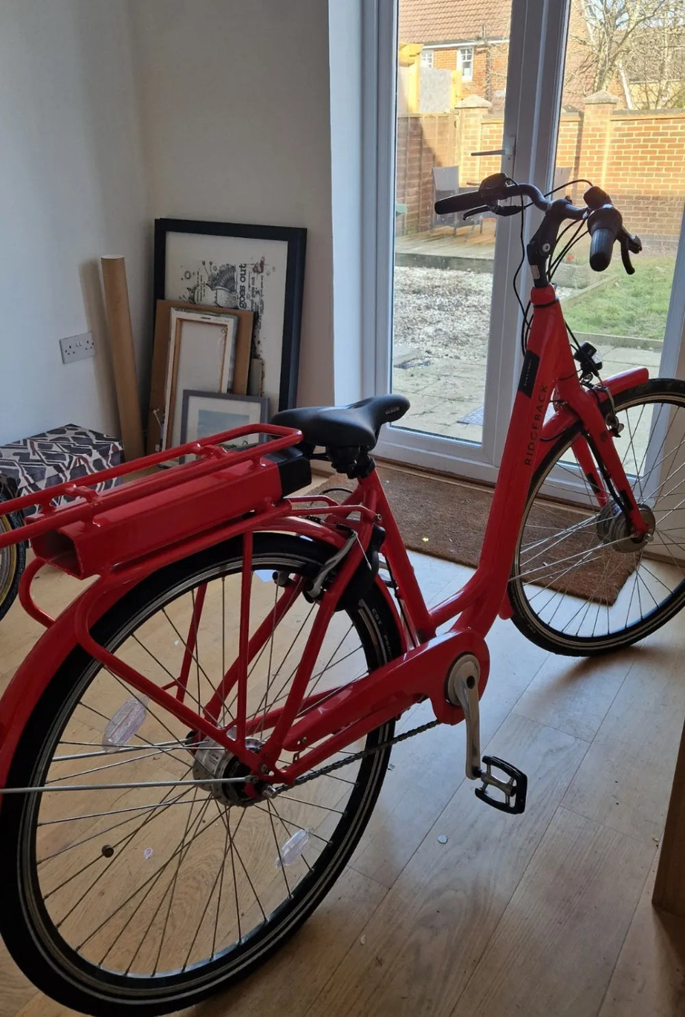 Ridgeback Electron 2024