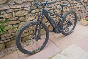 Trek Powerfly 7 2018