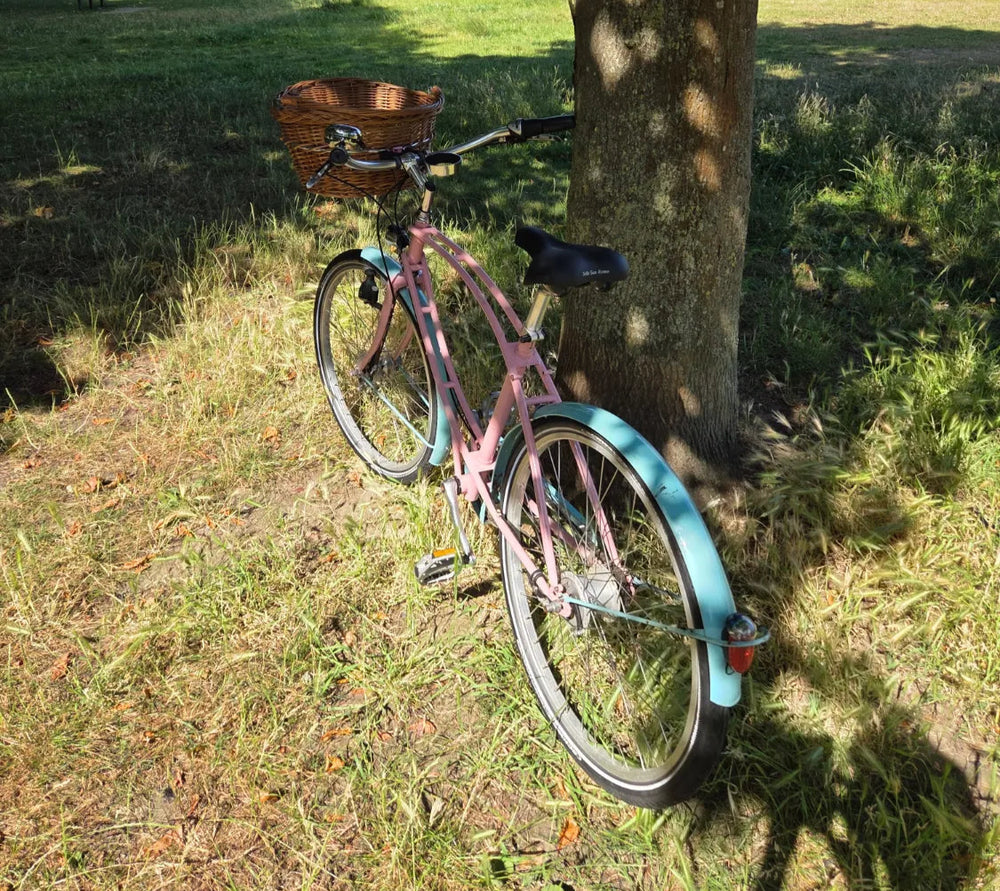 Pashley Parabike 2020