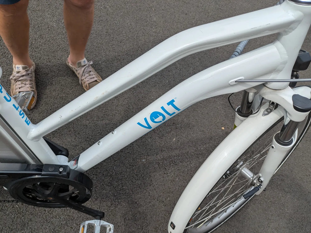 Volt Pulse LS  2019