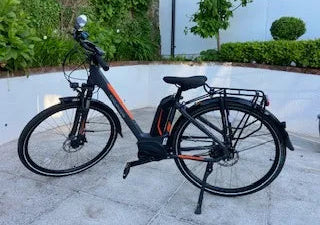 Gepida Turisind LS Alfine 8 2020
