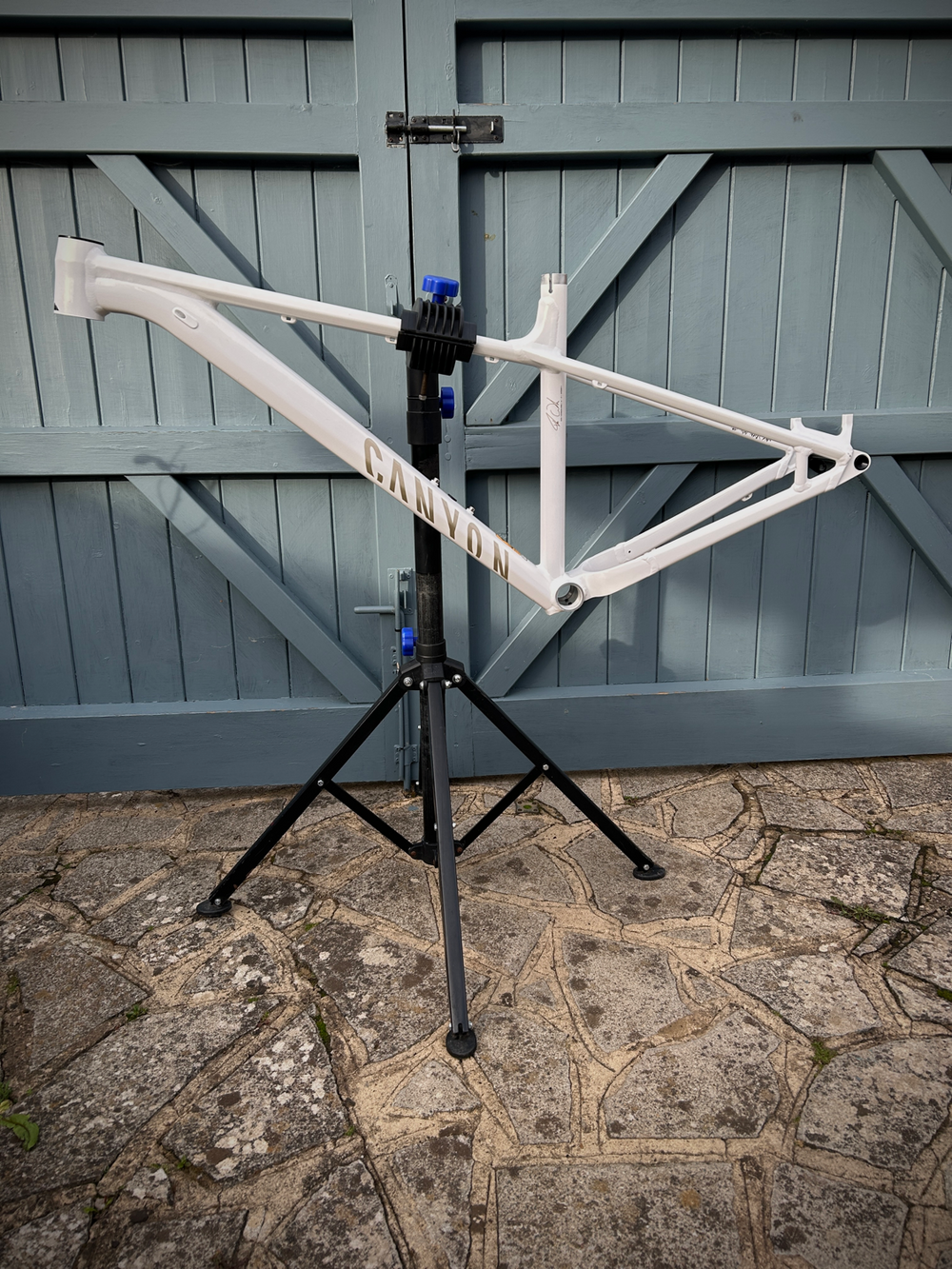 Canyon Stoic 2 2024