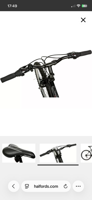 Apollo Large 2022