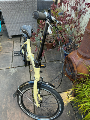 Dawes Kingpin 2024