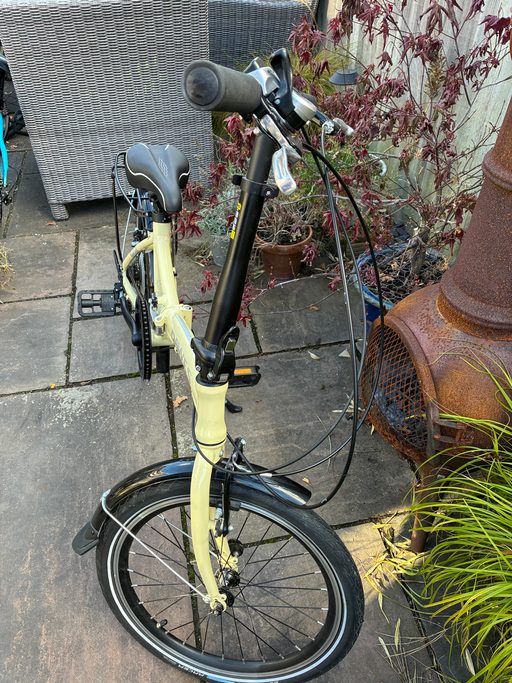 Dawes Kingpin 2024