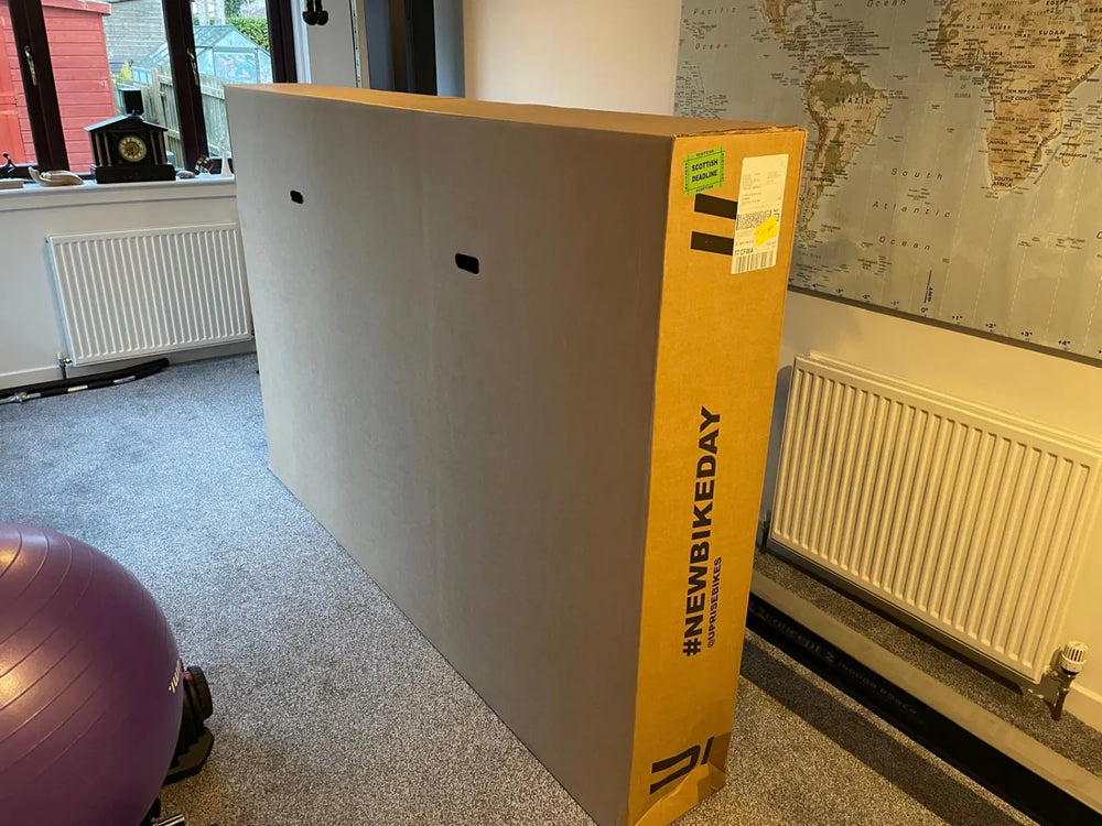 Trek Allant+ 7 Lowstep 2024