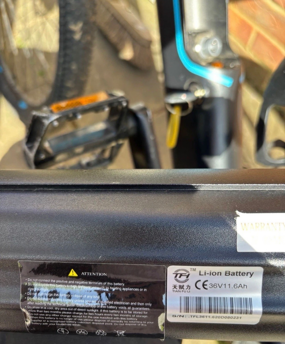 Avalanche MTE 2020