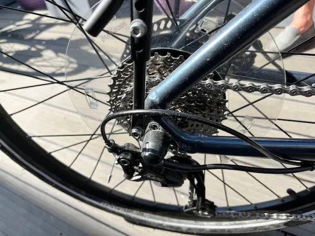 Carrera impel im 2022