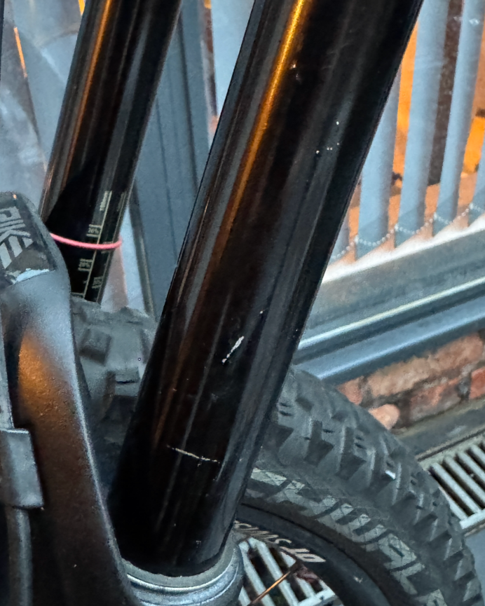 Canyon Spectral AL 6.0 EX 2019