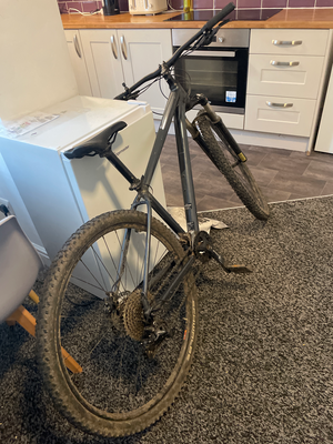 Cannondale Trail 5 2022