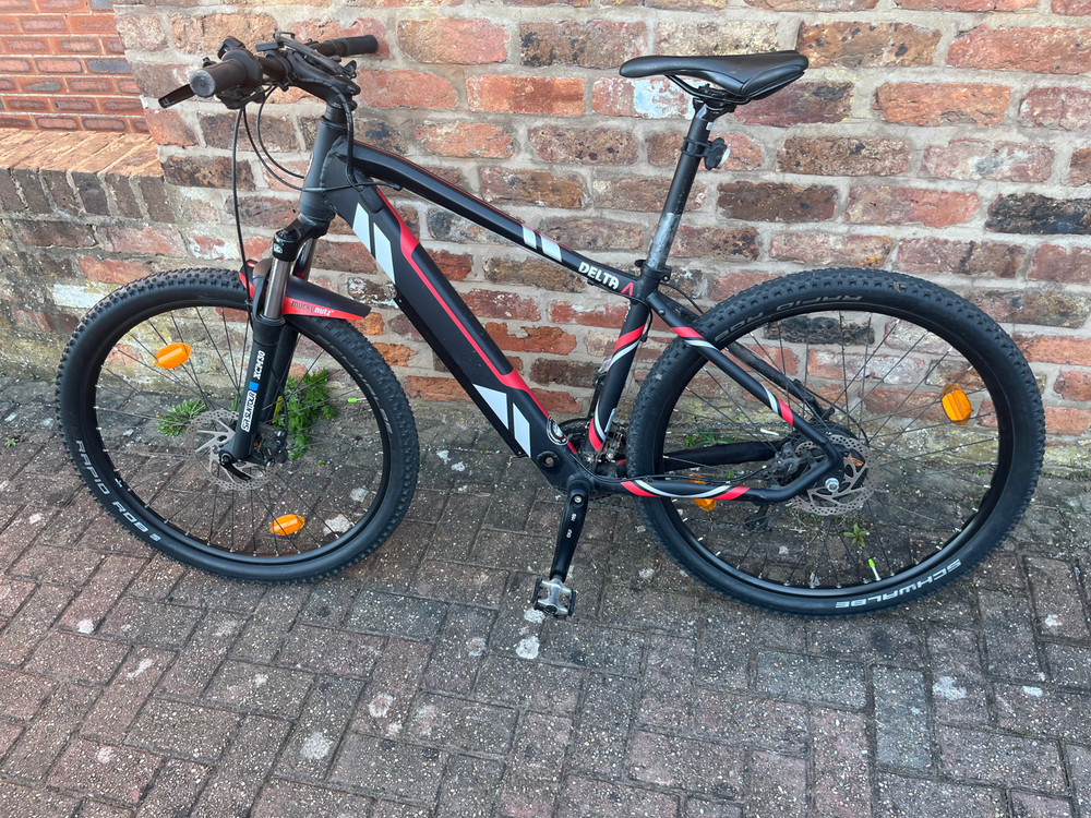 Batribike Delta Electric 2024