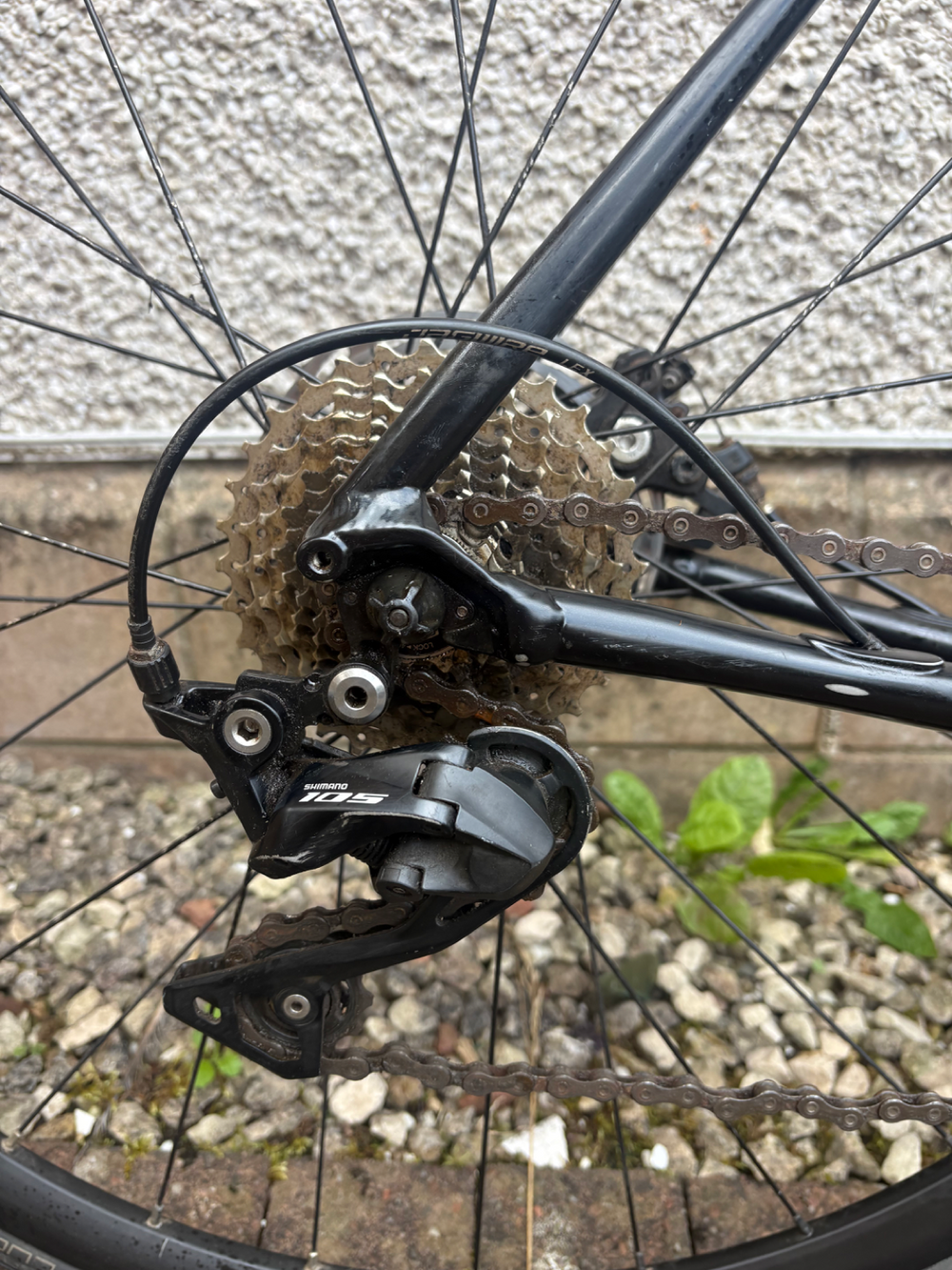 Cannondale Synapse 1 Disc Alloy Road 2025