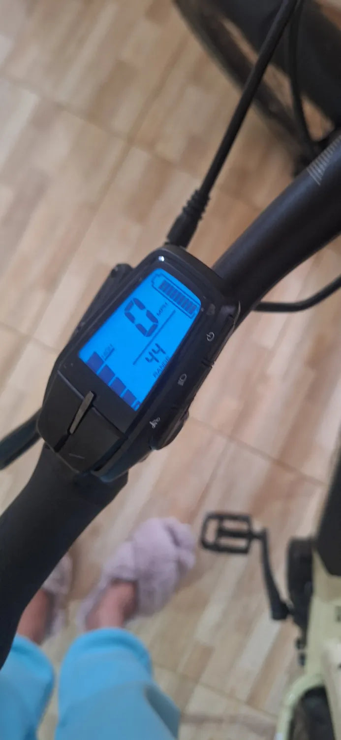 Haibike Trekking 4 2021