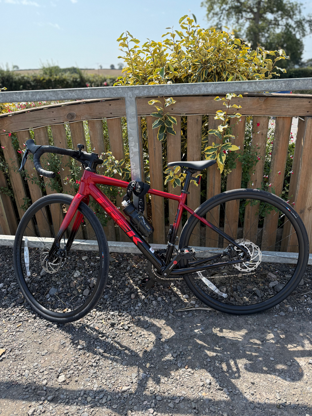 Trek Domane AL 2 Gen 4 2024