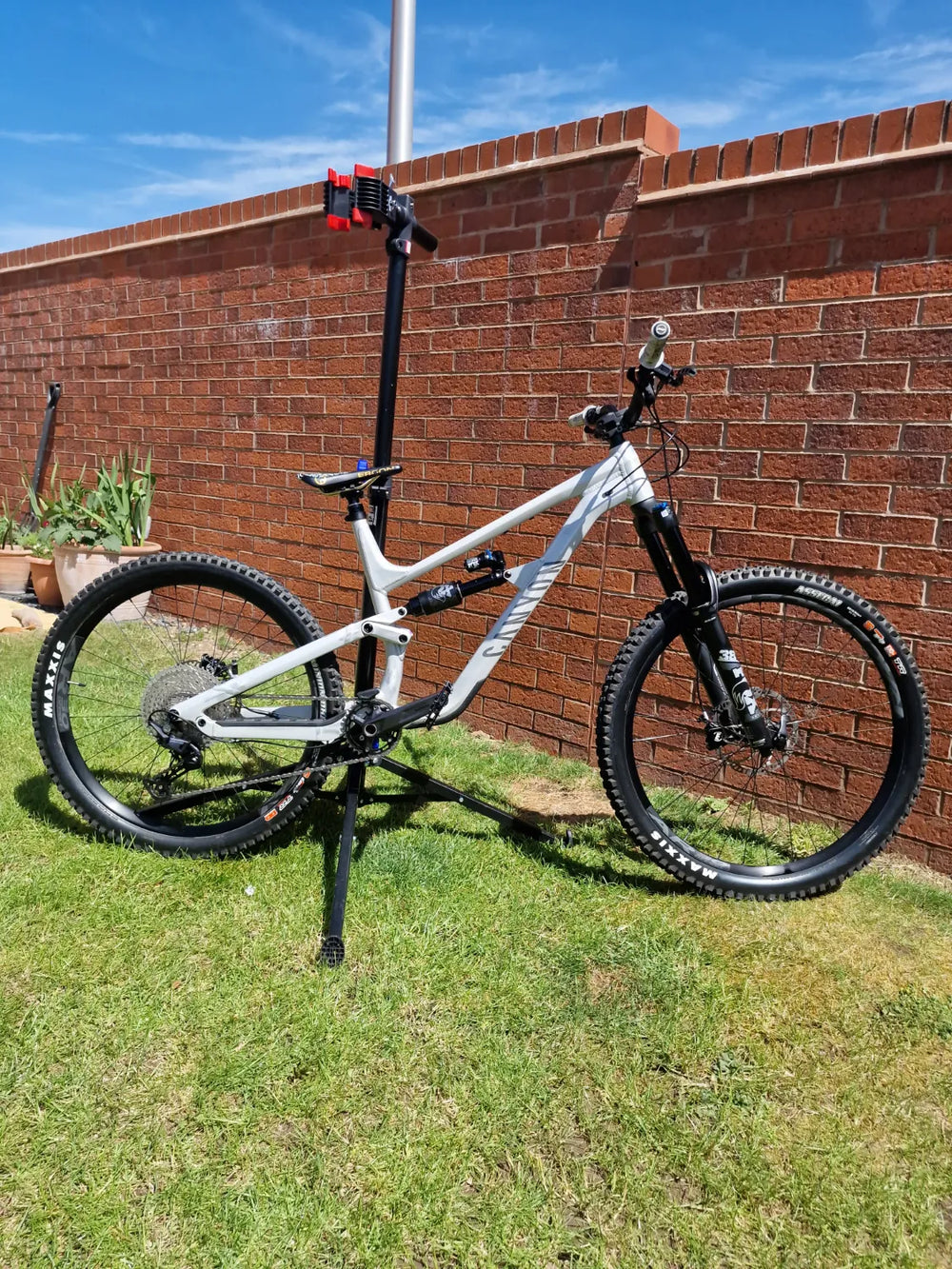 Canyon Torque 5 (Mullet) 2025