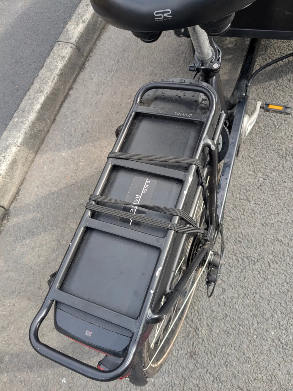 AmCargo Ultimate Curve  2021