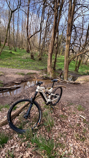 Raymon TrailRay Se10