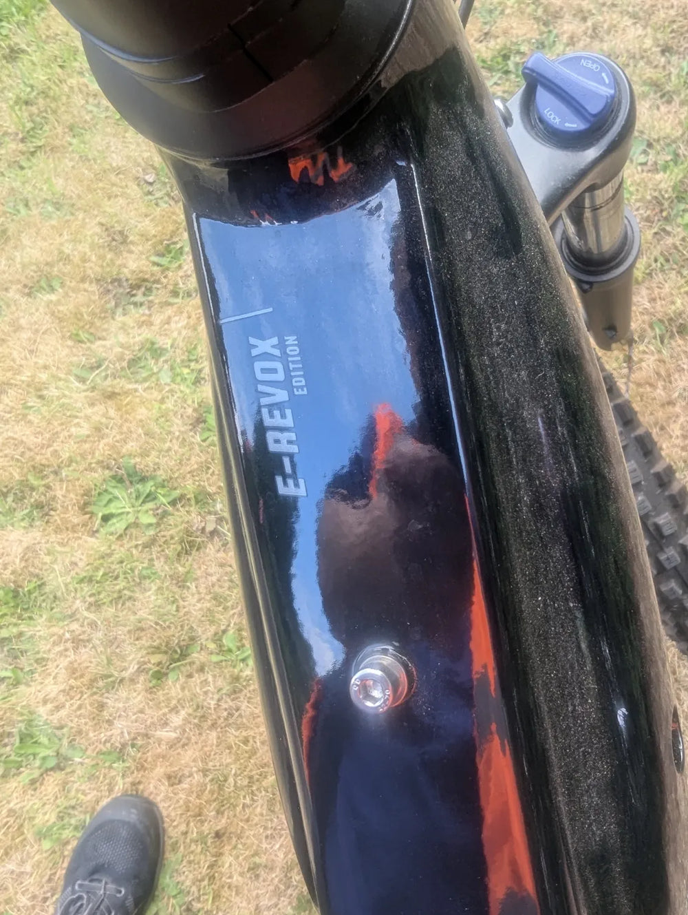 Bergamont E-Revox Edition 2023