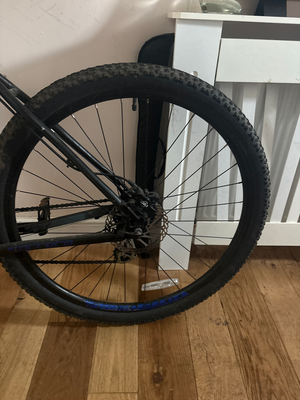 Carrera Mountain 2019