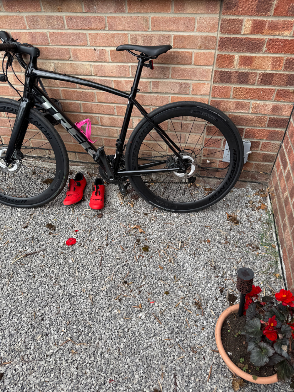 Trek Domane AL 4 Disc 2021