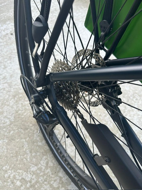 Trek Verve plus low step bike 2020