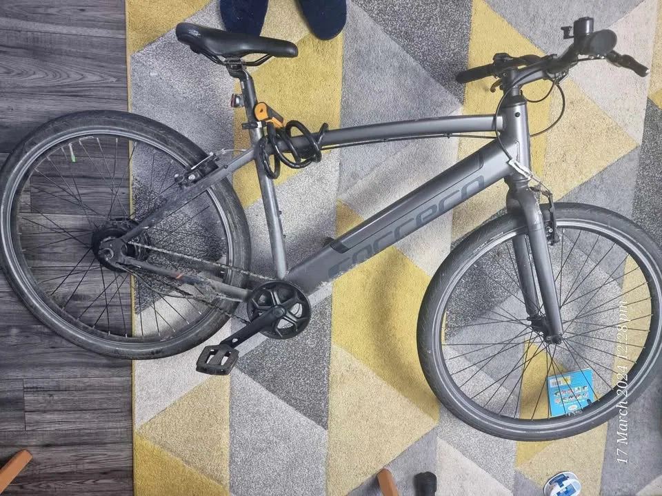 Carrera impel im 2022