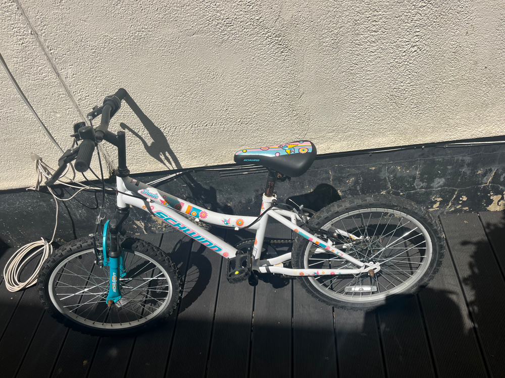 SCHWINN 20 inches Campus Kids MTB Bike 2022