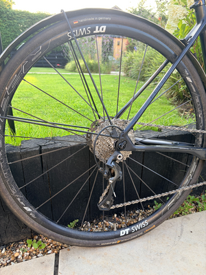 Focus Donna Ultegra 2018