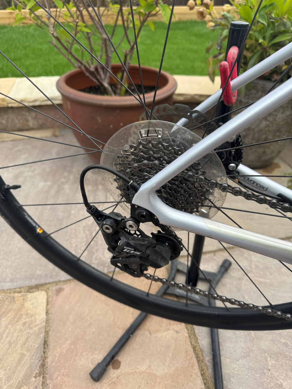Liv Langma Advanced 2 Disc 2021