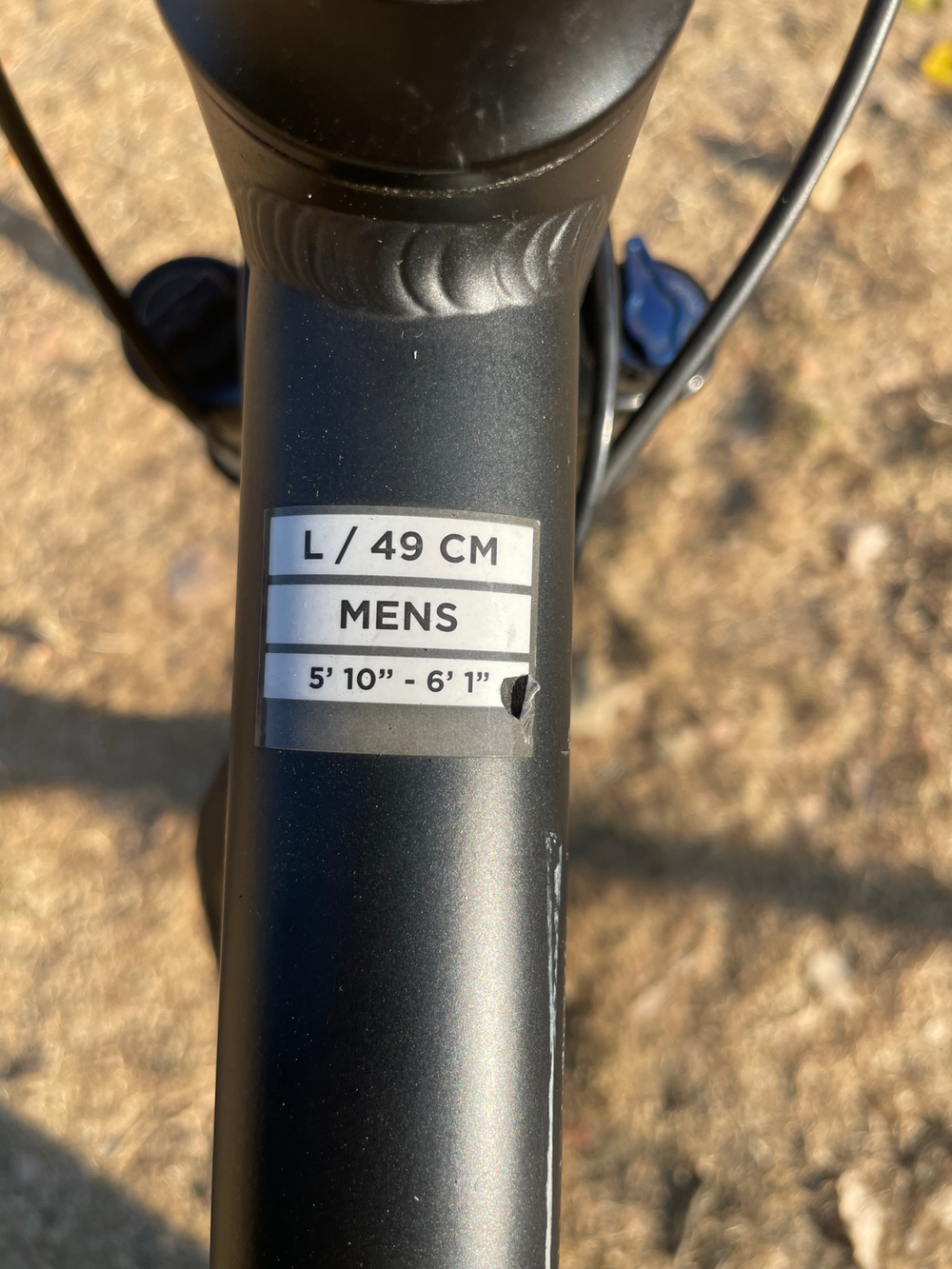 Pinnacle Cobalt 2 2020