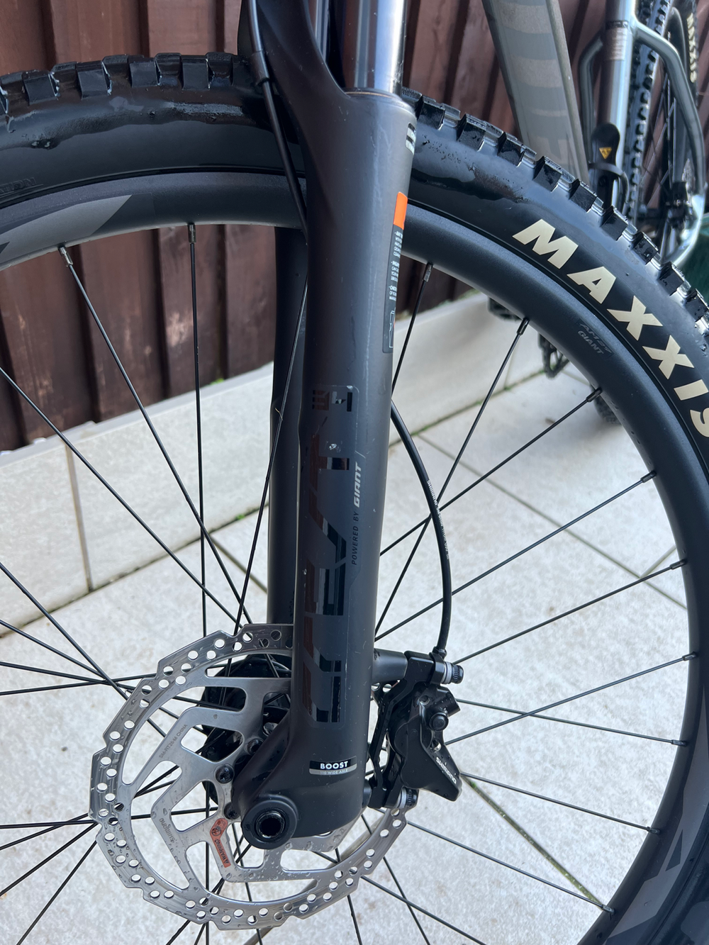 Giant Fathom 29 1 2021