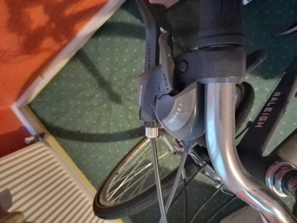 Raligh Pioneer  2024