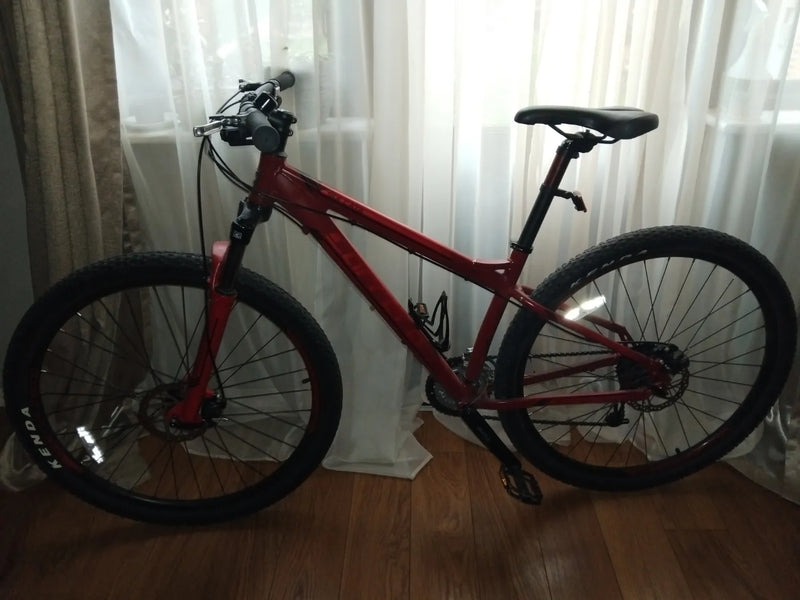 Carrera 29 Sulcata.