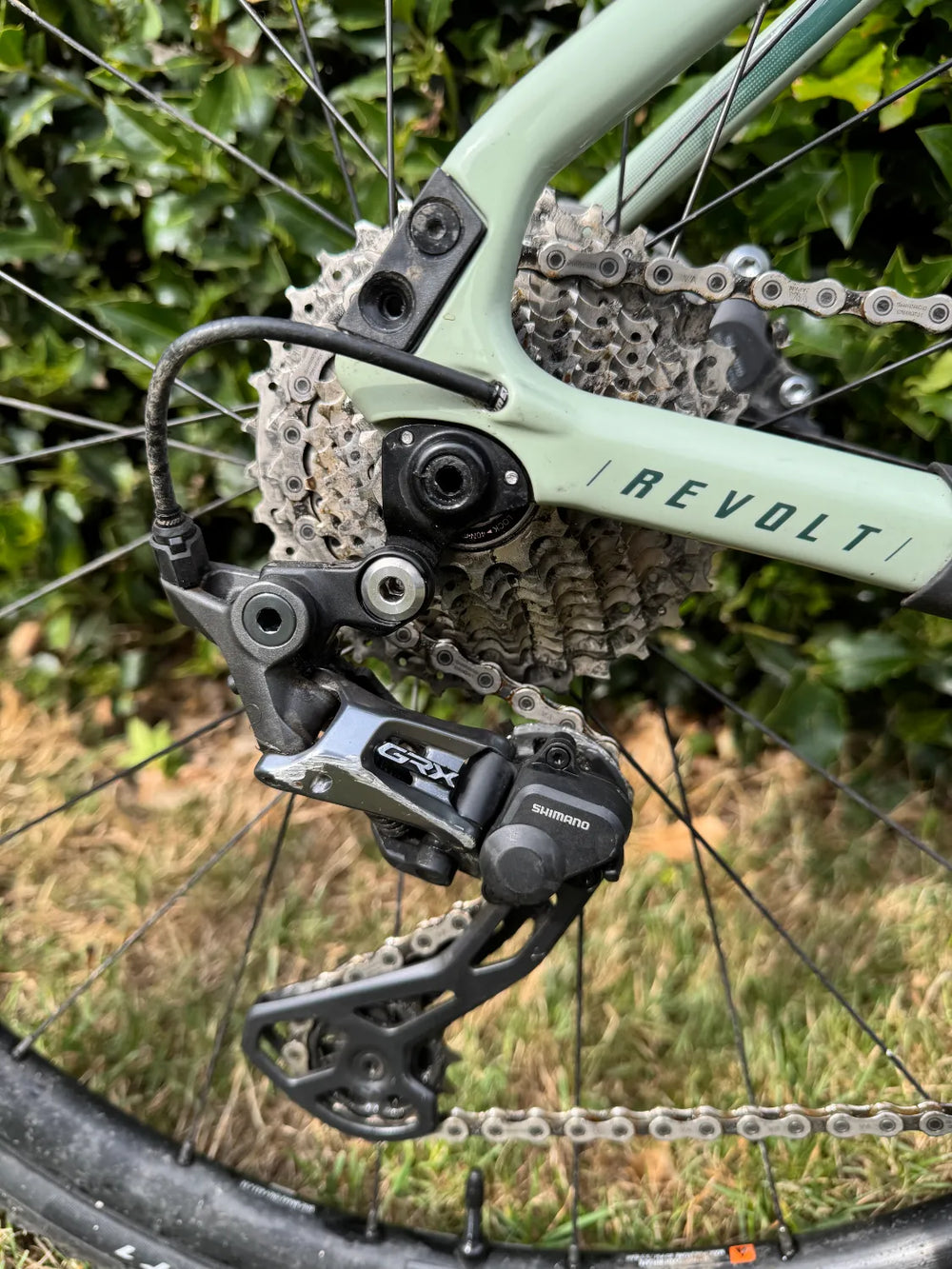 Giant Revolt Advanced 2 2021