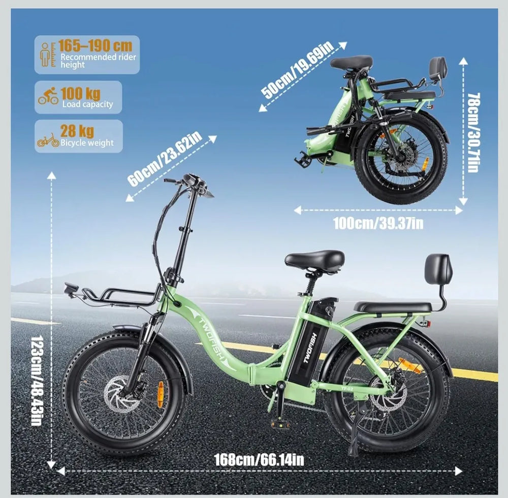 TWOFIS Electric Bicycle  2025