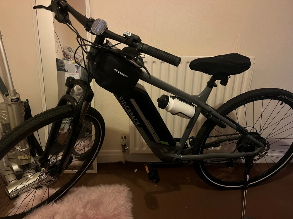 Ridgeback Arcus 1 2024