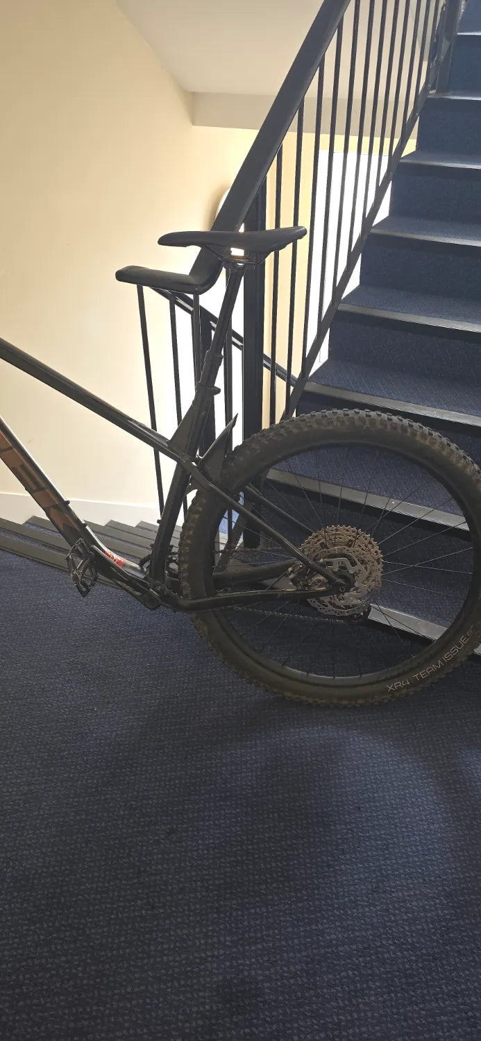 Trek Roscoe 7 2025