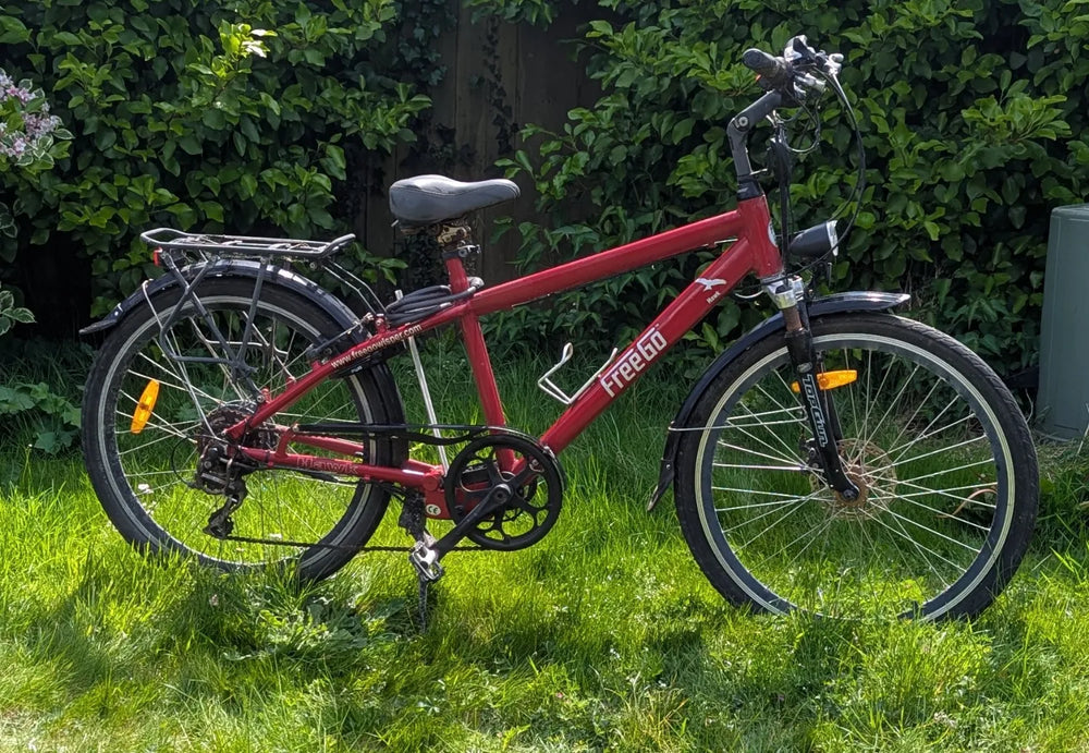 FrreeGo Hawk 2019