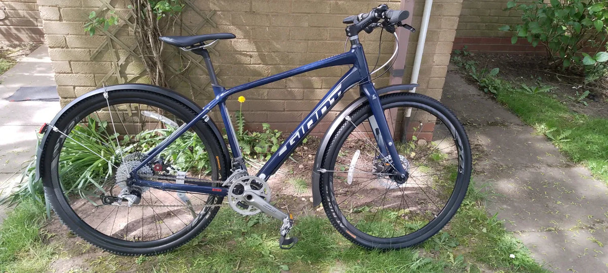 Giant Contend 2 2022