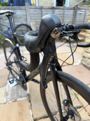 Focus Izalco Max 8.8 2020