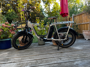 Rad Power RadRunner Plus 2021