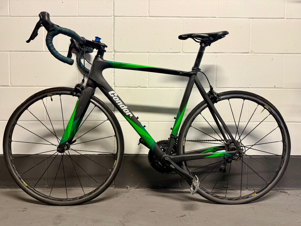 Condor Potenza