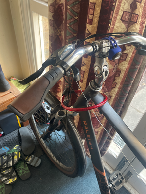 Raleigh Pioneer 700/38 Low Der Xs Muicolor 2024