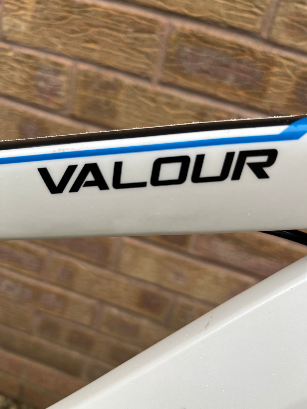 Carrera Valour Womens Mountain Bike 2020