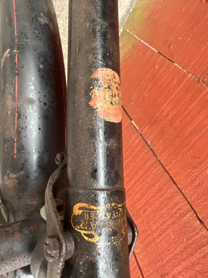 Raleigh Special 2017