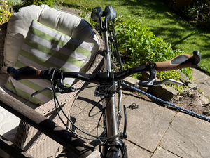 Van Nicholas Amazon Rohloff Speedhub 14-spd belt 2018