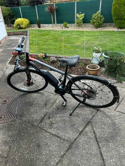 Trek Dual Sport+ 2019
