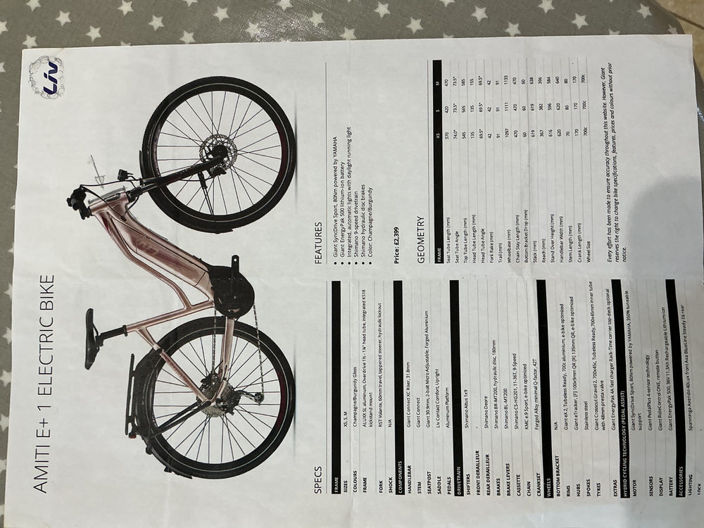 Giant Amti E+ 2019