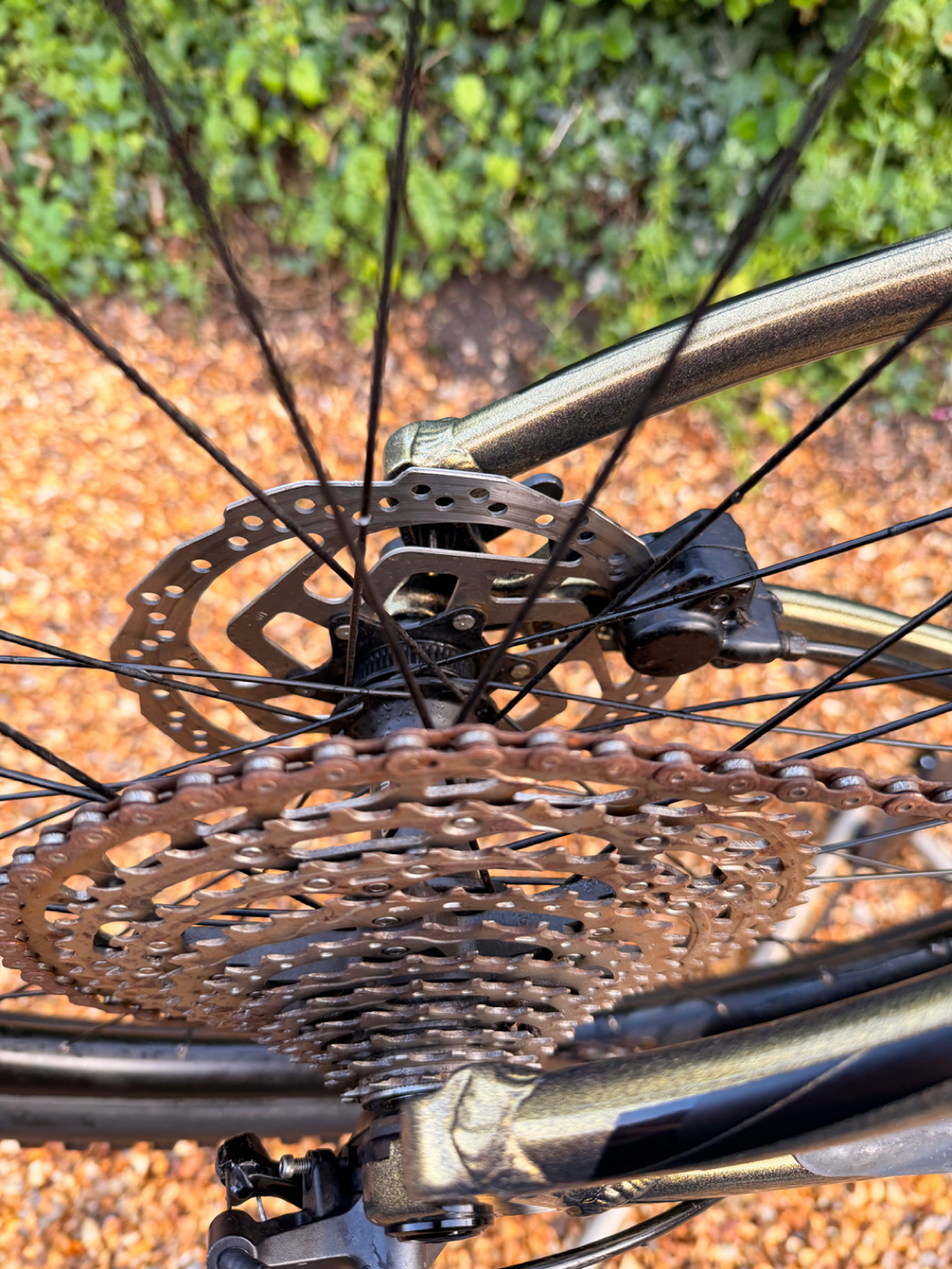 Merida BIG.TRAIL 500 2024